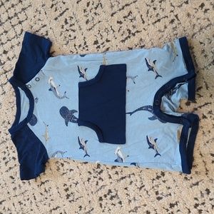Kyte Baby Shark Romper